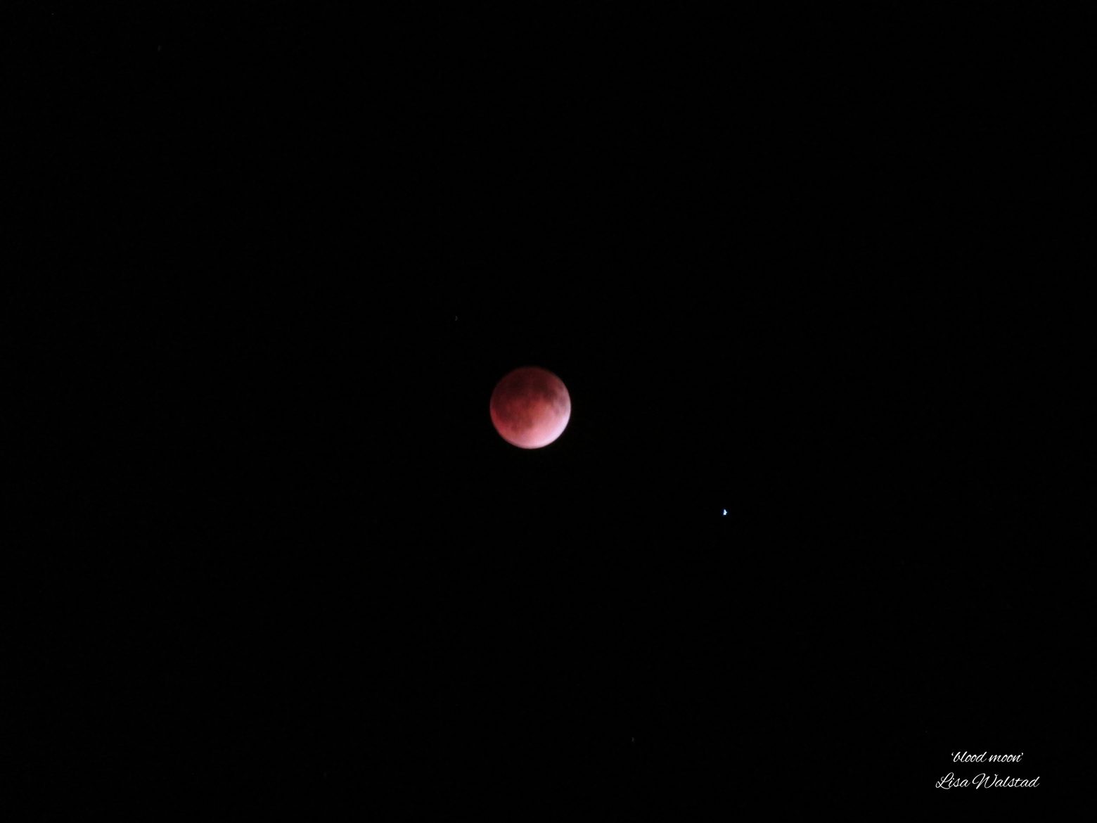 Blood Moon April 2014
