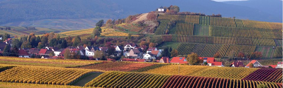 Hieb family in Ilbesheim bei Landau - Wine Village